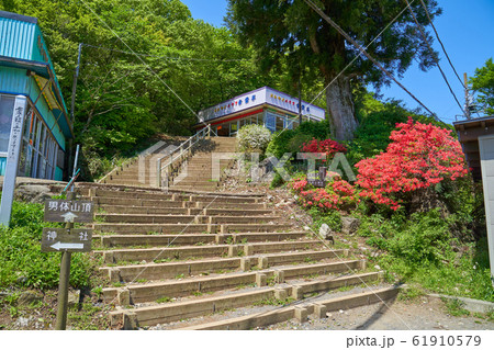 春の筑波山 筑波山頂駅(御幸ヶ原)から男体山頂方面の登山道 61910579