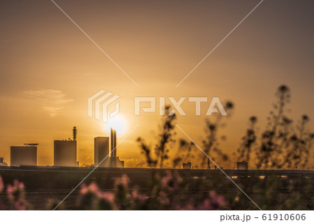 埼玉県 春の日没の風景 見沼田んぼから眺めるさいたま新都心 の写真素材