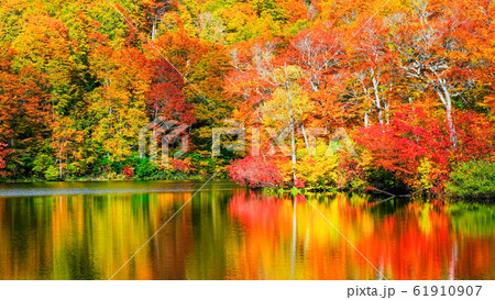 鎌池の紅葉 鎌池の紅葉 61910907