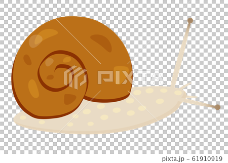 カタツムリ カタツムリ 61910919