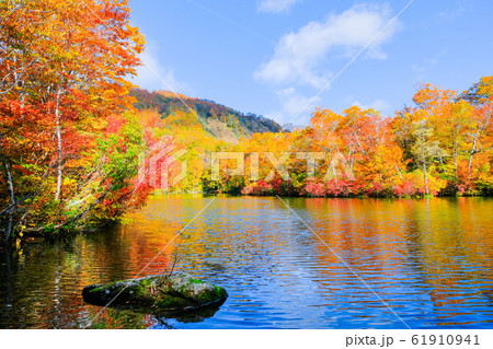 鎌池の紅葉 61910941