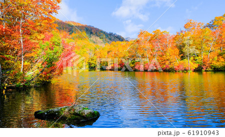 鎌池の紅葉 61910943