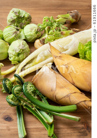 春野菜 61911666