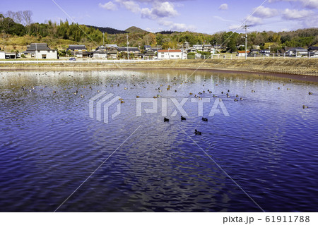 岡田大池　大池ふるさと公園　弁財天　弁天様　岡山県倉敷市真備町 61911788