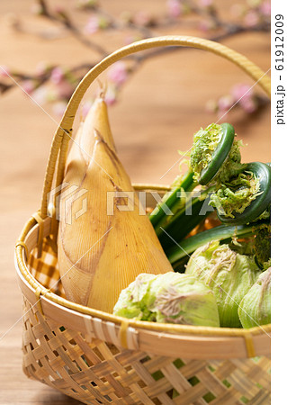 春野菜 春野菜 61912009