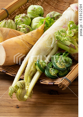 春野菜 春野菜 61912284