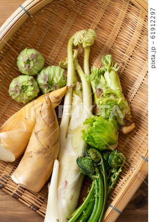春野菜 春野菜 61912297