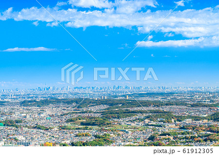 東京　高尾山からの眺望（東京タワー、スカイツリー方面） 61912305