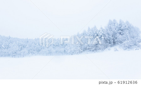 雪原 雪原 61912636