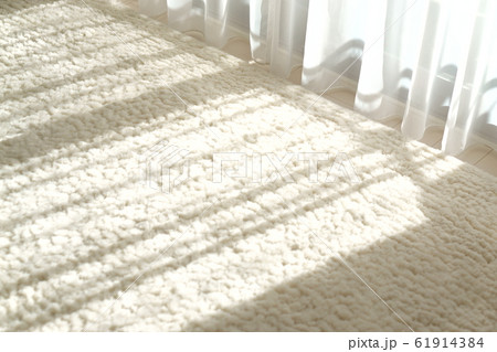 カーテン越しの優しい太陽光 カーテン越しの優しい太陽光 61914384
