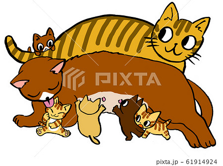 おっぱいをあげる母猫と子猫と遊ぶ父猫のイラストのイラスト素材