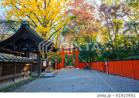京都　河合神社の紅葉　  61915692