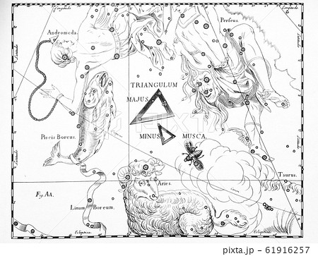 astronomical catalog of constellations on a light astronomical catalog of constellations on a light 61916257