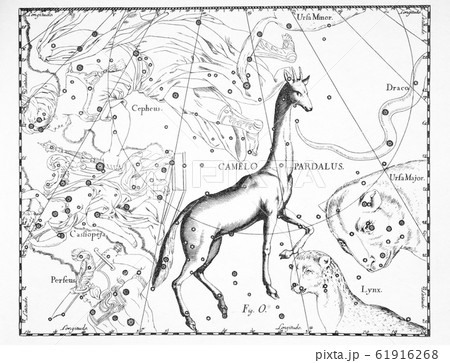 astronomical catalog of constellations on a light 61916268