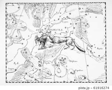 astronomical catalog of constellations on a light 61916274
