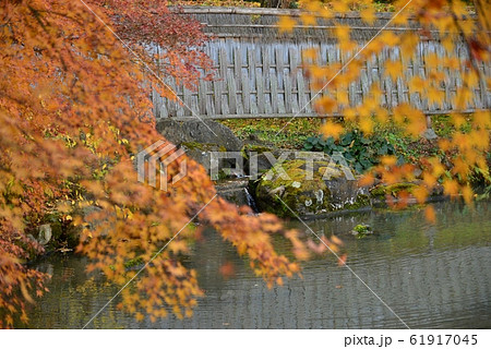 2019　山寺常山邸の泉水庭園 61917045