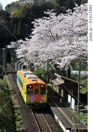 樽見鉄道日当駅 61917885