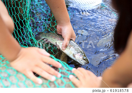釣りを楽しむ子どもたち 61918578