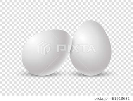 Two chicken eggs. Realistic egg with soft shadow. Single realistic animal eggs. Template for Easter holiday isolated on white background. 61918631