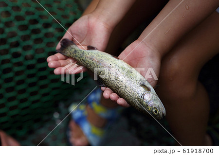 釣りを楽しむ子どもたち 釣りを楽しむ子どもたち 61918700