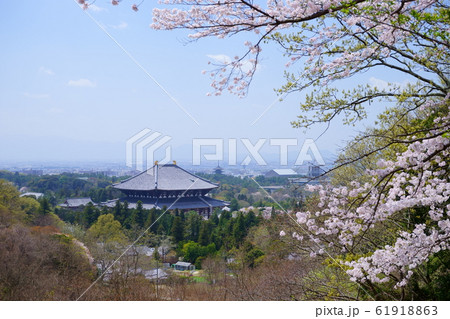 春の東大寺 春の東大寺 61918863