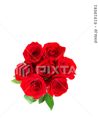 Rd roses isolated on white. Top view. 61919081