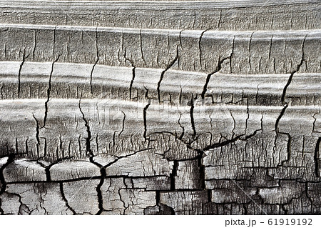 古い木材の表面 61919192
