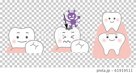 Tooth 61919511