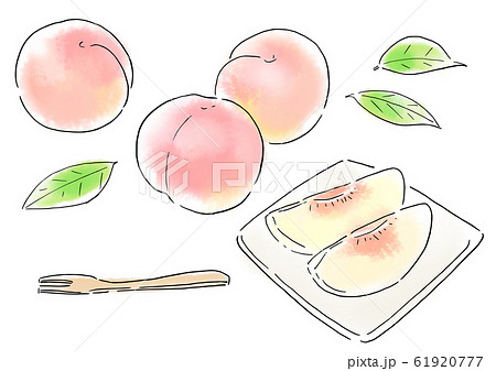 食べ物 イラスト 果物 桃のイラスト素材