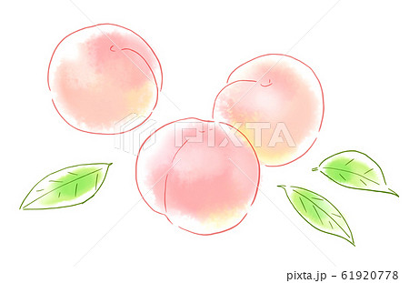 食べ物 イラスト 果物 桃のイラスト素材 61920778 Pixta
