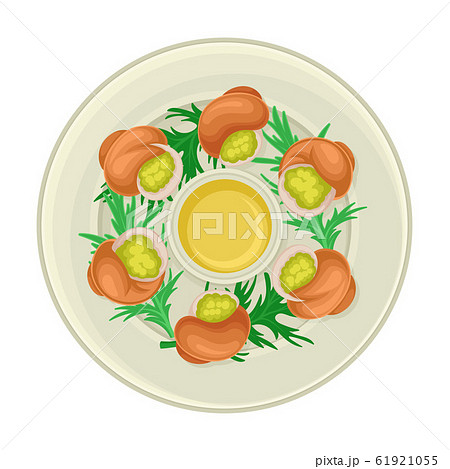 Escargot Dish with Greenery Served on Plate Top View Vector Illustration 61921055