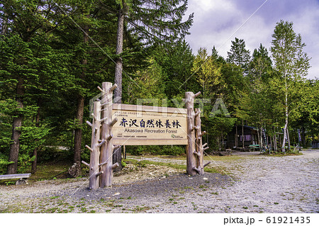 （長野県）木曽路・赤沢自然休養林 61921435