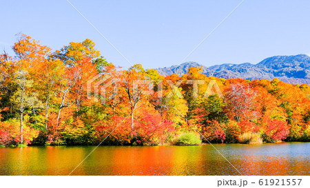 鎌池の紅葉 鎌池の紅葉 61921557