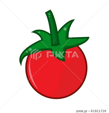 tomato isolated illustration on white background 61921726
