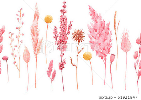 Beautiful seamless pattern with watercolor herbarium wild dried grass in pink and yellow colors. Stock illustration. 61921847