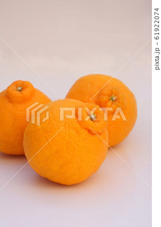 デコポン デコポン 61922074