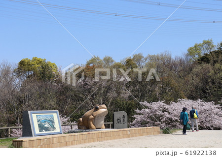 光明池　春の風景 61922138