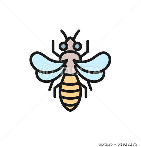 Honey bee, beekeeping flat color line icon. 61922275
