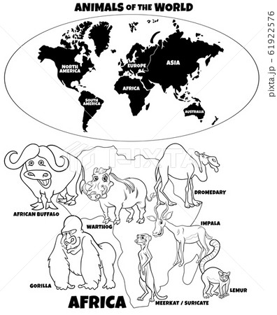 educational illustration of African animals color 61922576