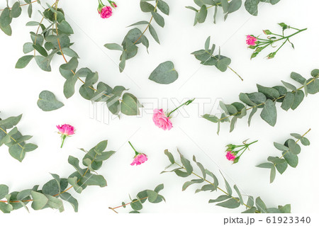Floral pattern with eucalyptus branches and roses flowers on white background. Flat lay Floral pattern with eucalyptus branches and roses flowers on white background. Flat lay 61923340