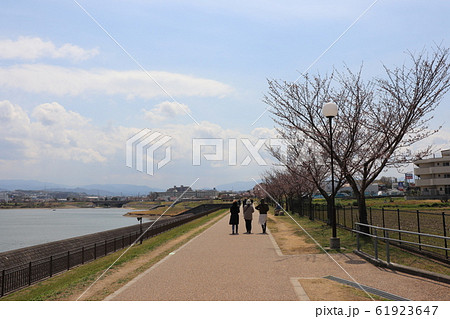大阪狭山市。狭山池春の風景 大阪狭山市。狭山池春の風景 61923647