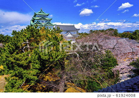 春の名古屋城 春の名古屋城 61924008