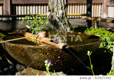 京都・圓光寺 水琴窟 京都・圓光寺 水琴窟 61925392