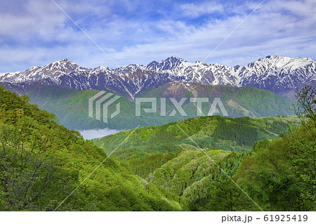 白沢峠から眺める北アルプスの山々、長野県北安曇郡白馬村にて 61925419