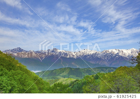 白沢峠から眺める北アルプスの山々、長野県北安曇郡白馬村にて 61925425