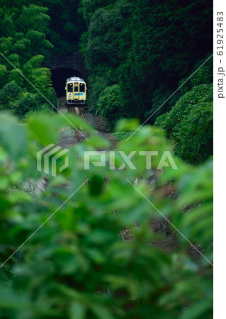 森を走る列車 61925483