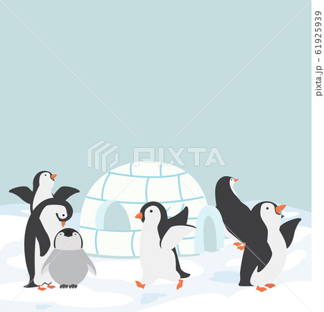 Igloo ice house with penguin 61925939