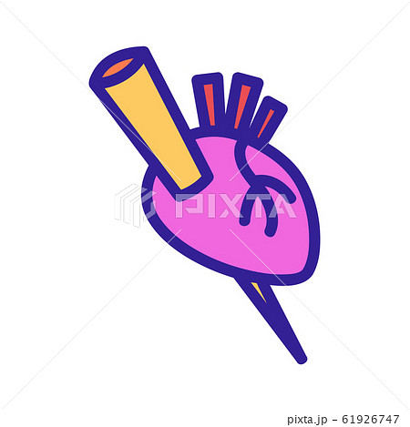 heart and aspen count icon vector. Isolated contour symbol illustration heart and aspen count icon vector. Isolated contour symbol illustration 61926747