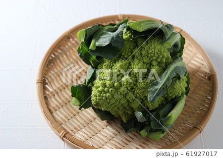 ロマネスコ 61927017