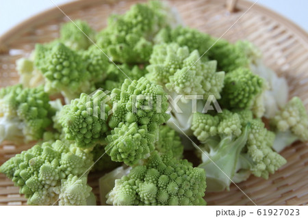 ロマネスコ ロマネスコ 61927023